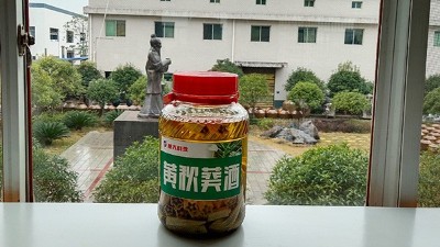 做酒设备酿造黄秋葵酒，3种不同工艺，哪种工艺酿的更好喝？