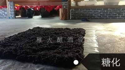 简单10步教您用白酒生产设备酿出美味黑糯米酒，赶紧来看看！