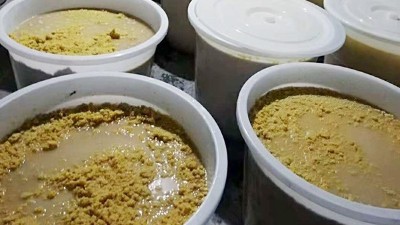 玉米熟料液态酒怎么做？小型酒厂酿酒设备玉米液态酿酒技术